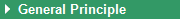 Beschreibung: General Principle